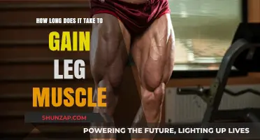 Building Leg Muscle: Timeframe for Visible Strength and Growth