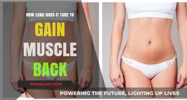 Regaining Lost Muscle: Understanding the Timeline for Recovery and Rebuilding