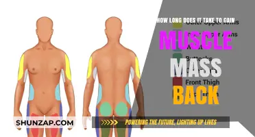 Regaining Muscle Mass: Understanding the Timeline for Recovery and Growth