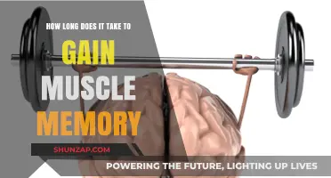 Mastering Muscle Memory: Understanding the Timeframe for Skill Retention