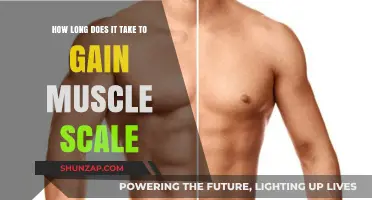 Muscle Building Timeline: How Long to See Scale Gains?