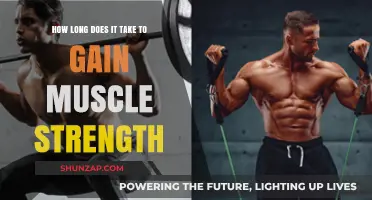 Building Muscle Strength: Understanding the Timeframe for Noticeable Gains