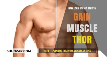 How Long Does It Take to Gain Muscle: Thor's Journey