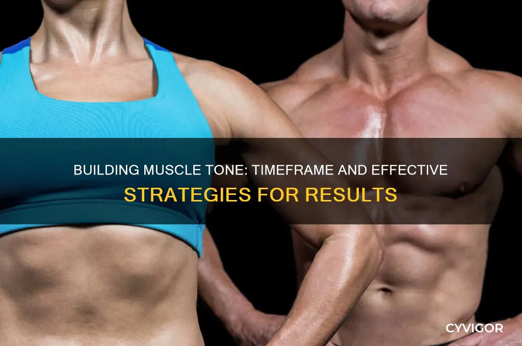 how long does it take to gain muscle tone