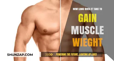 Muscle Weight Gain Timeline: Factors Affecting Your Progress and Results