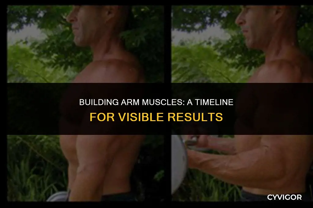 how long does it take to get arm muscles