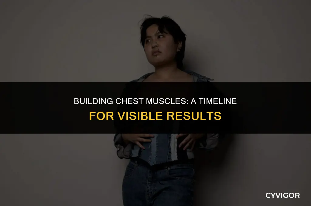 how long does it take to get chest muscles
