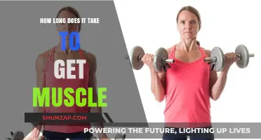 Building Muscle: Understanding the Timeline for Visible Results