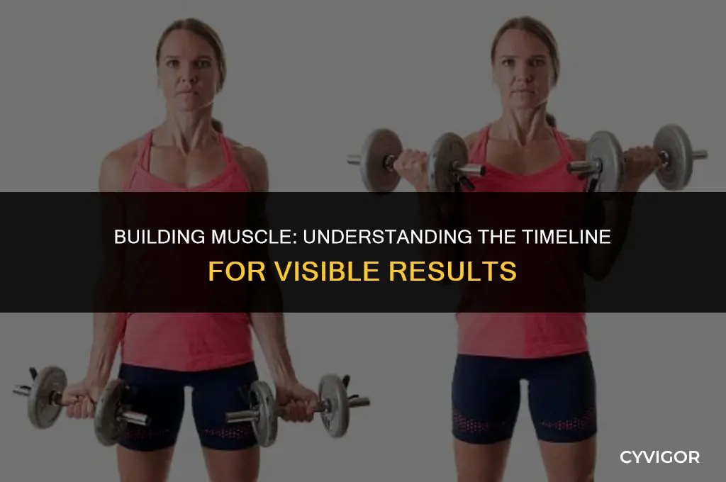 how long does it take to get muscle