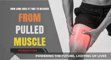 Pulled Muscle Recovery Time: What to Expect and How to Heal