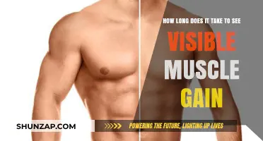 Visible Muscle Gain Timeline: Factors Affecting Your Results and Progress