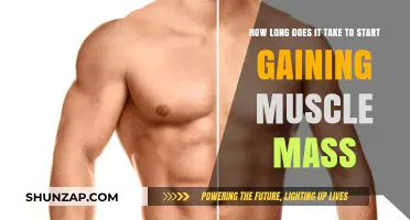 How Long Does It Take to Start Gaining Muscle Mass?