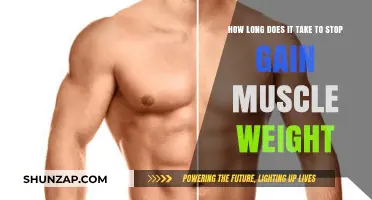 How Long Does It Take to Stop Gaining Muscle Weight?