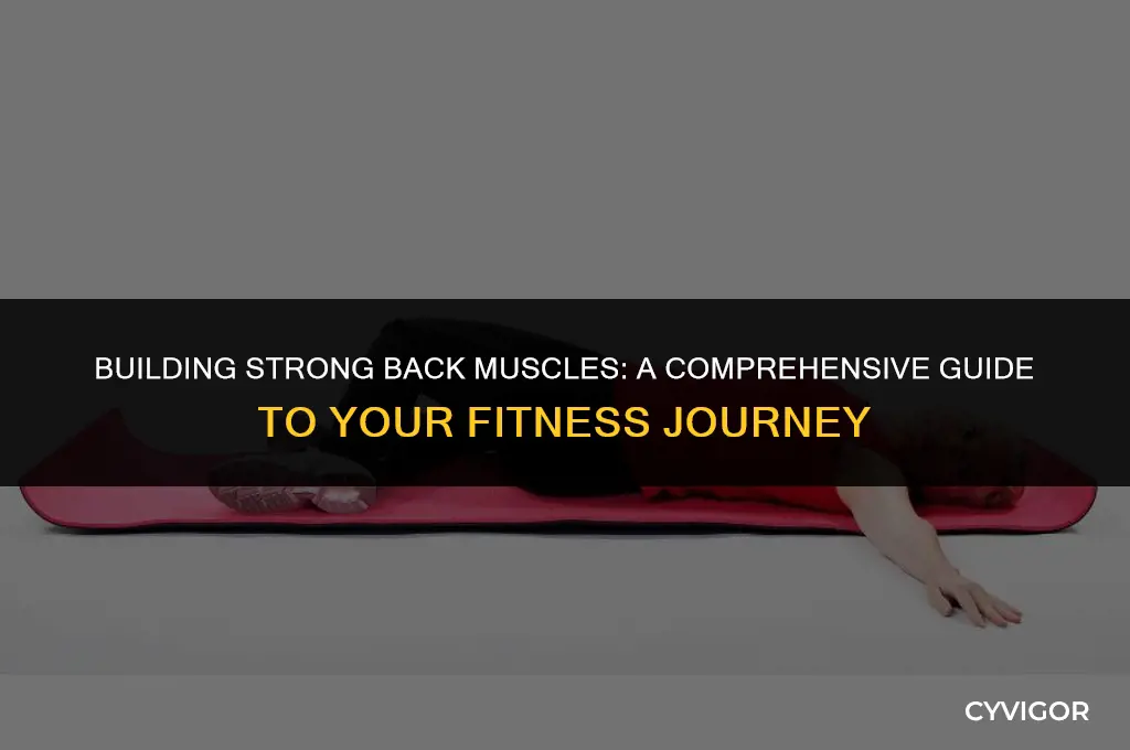how long does it take to stregnthen back muscles