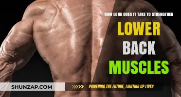 Empower Your Core: A Timeline to Stronger Lower Back Muscles