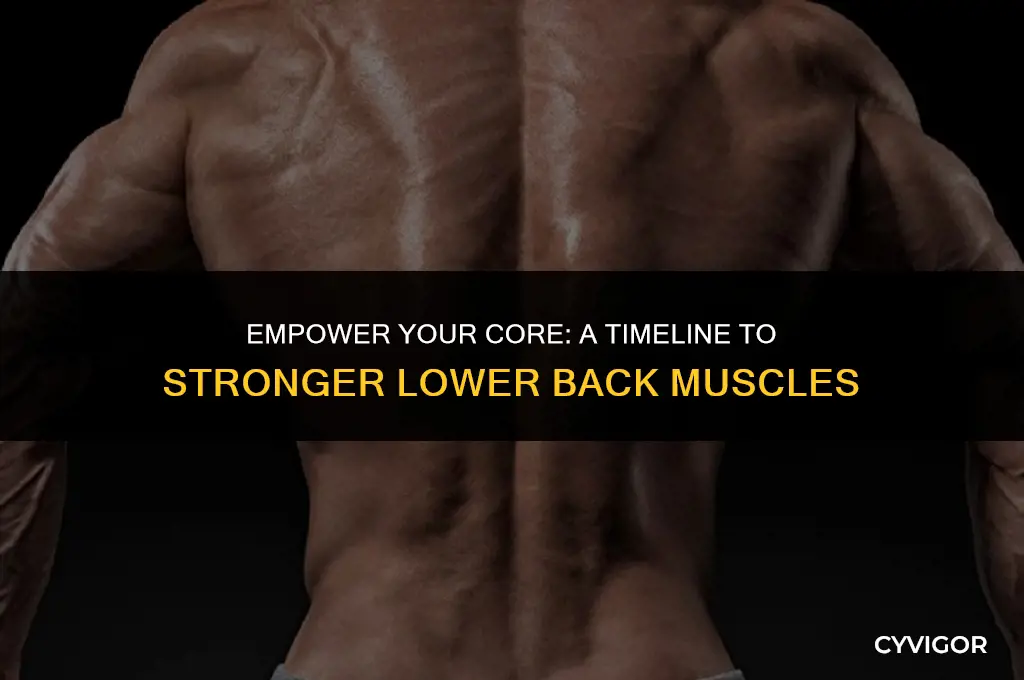 how long does it take to strengthen lower back muscles