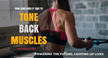 Revamping Your Physique: The Timeline to Toned Back Muscles