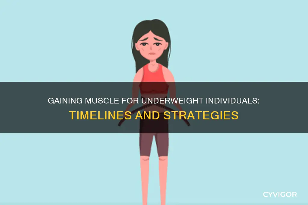 how long does it take underweight person to gain muscle