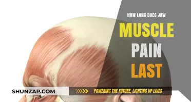 Understanding Jaw Muscle Pain Duration: Causes, Relief, and Recovery Timeline