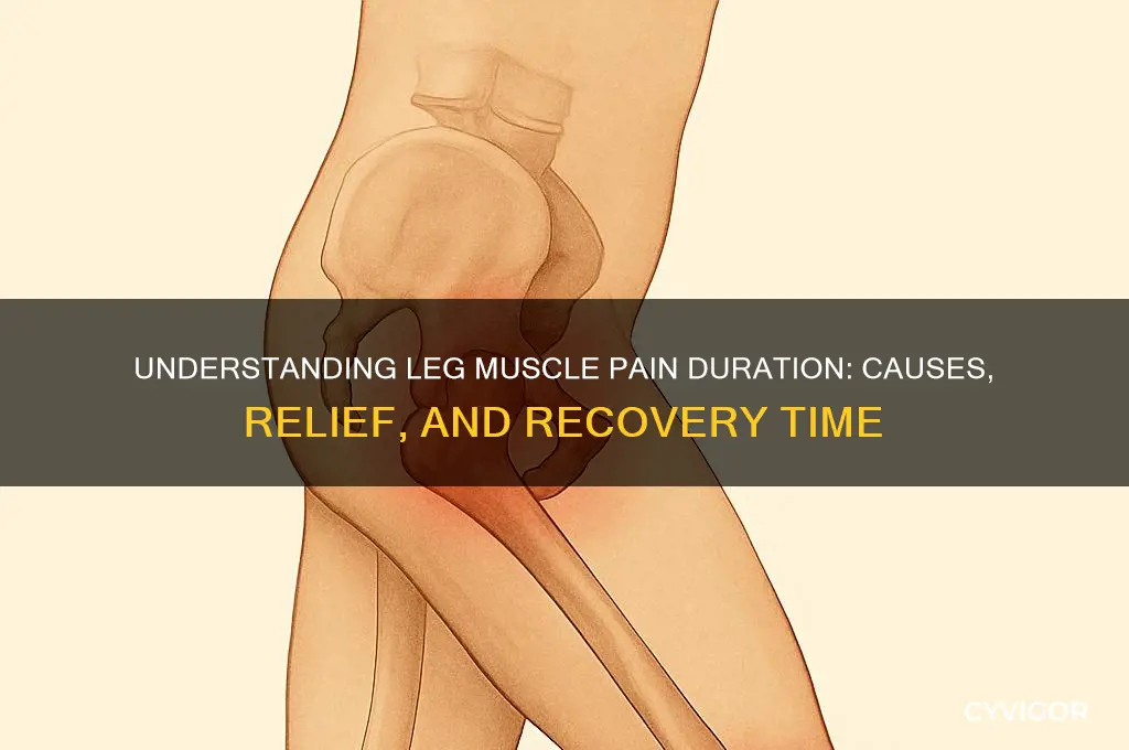 how long does leg muscle pain last
