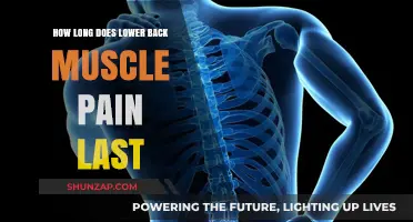 Understanding the Duration of Lower Back Muscle Pain: A Comprehensive Guide