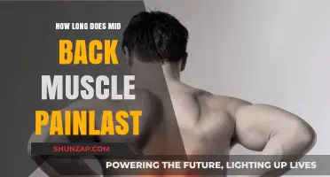 Understanding the Duration of Mid-Back Muscle Pain: A Comprehensive Guide