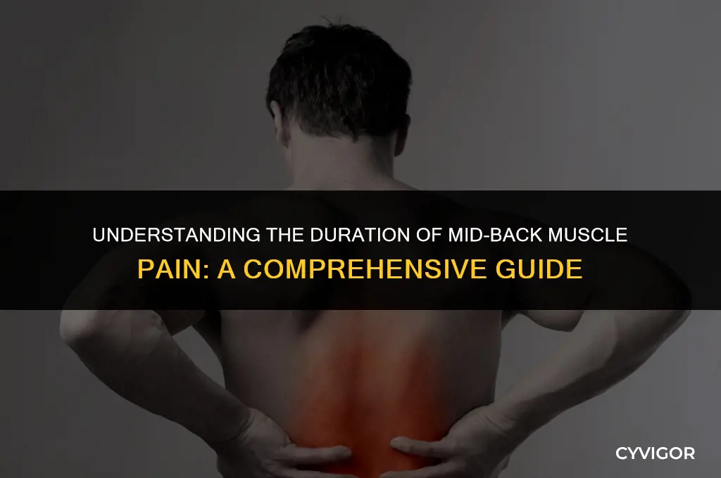 how long does mid back muscle painlast