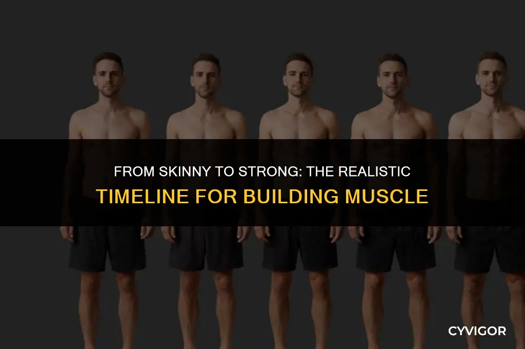 how long does muscle building take