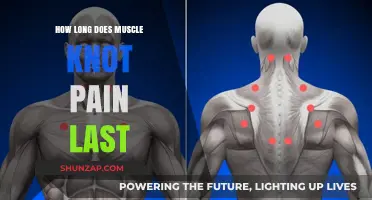 Understanding Muscle Knot Pain Duration: Causes, Relief, and Recovery Time