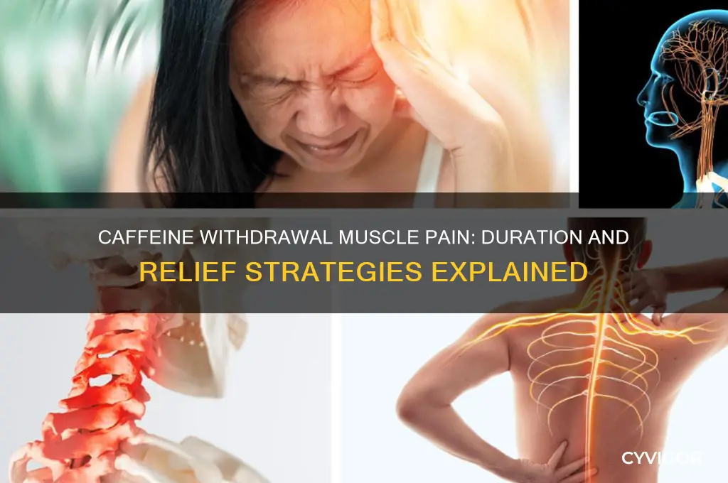 how long does muscle pain from caffeine withdrawal last