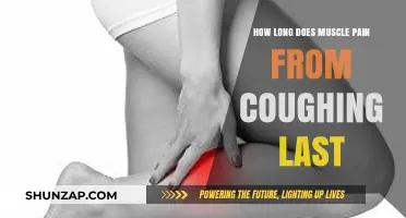 Cough-Induced Muscle Pain: Duration and Relief Strategies Explained
