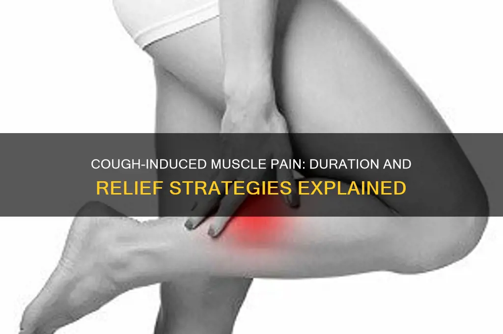 how long does muscle pain from coughing last