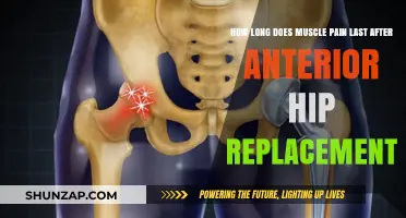 Recovering from Anterior Hip Replacement: Understanding Muscle Pain Duration