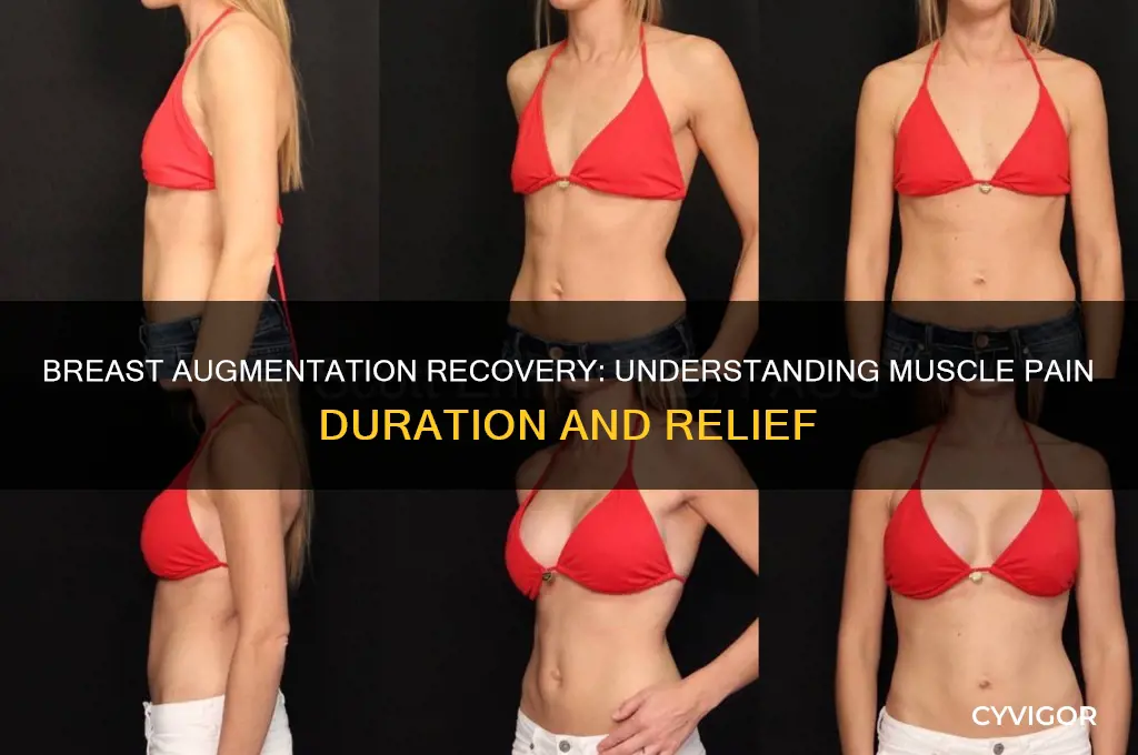 how long does muscle pain last after breast augmentation