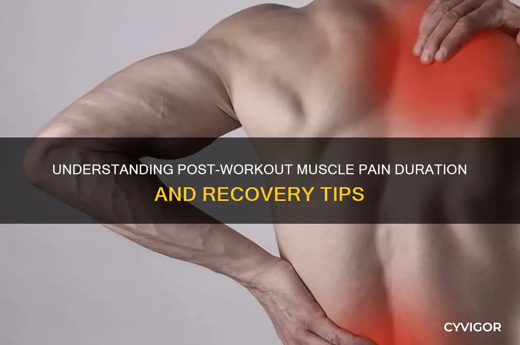how long does muscle pain last after exercise