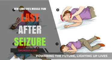 Understanding Post-Seizure Muscle Pain Duration and Recovery Timeline