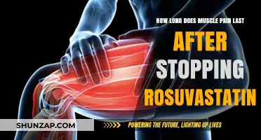 Muscle Pain Duration After Stopping Rosuvastatin: What to Expect