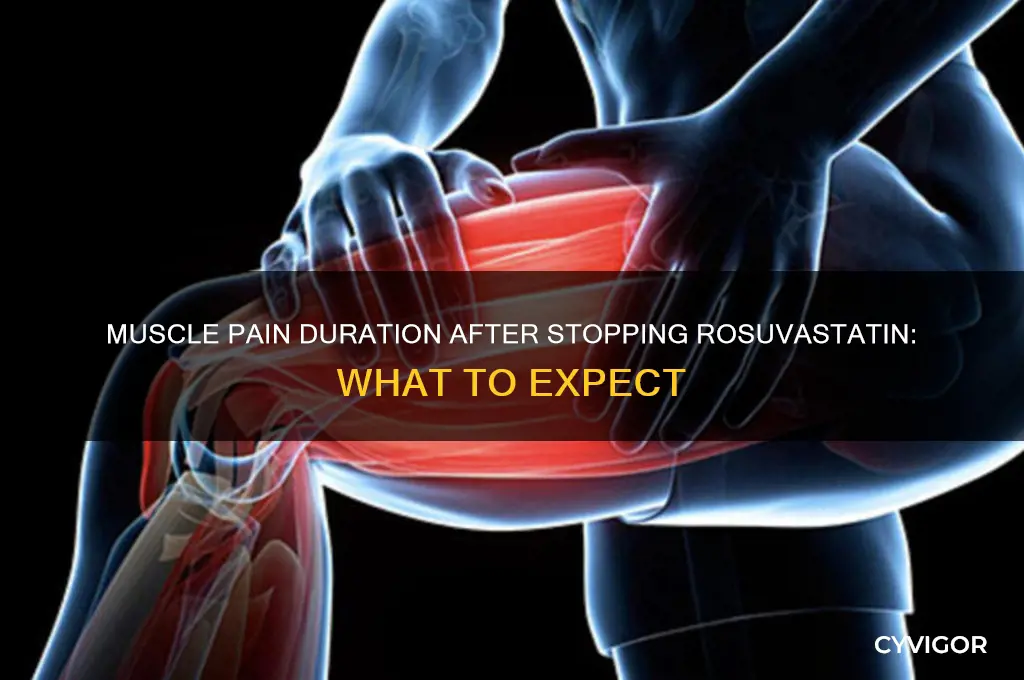how long does muscle pain last after stopping rosuvastatin