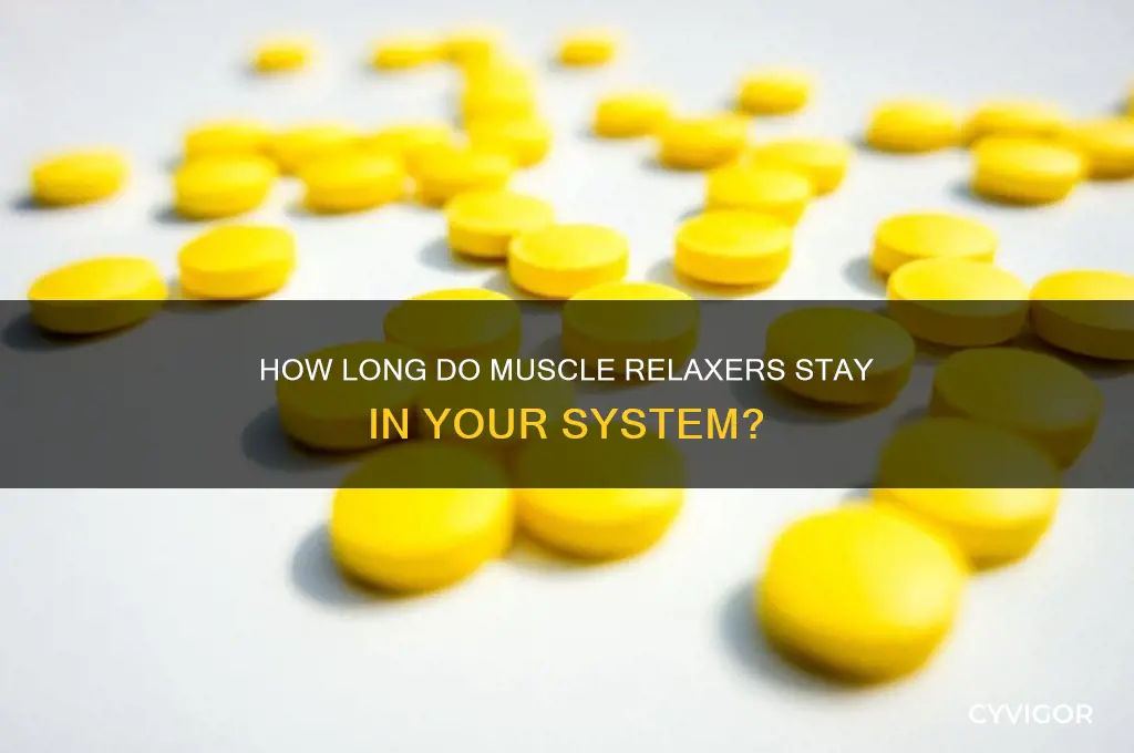 how long does muscle relaxer stay in uour system