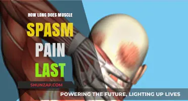 Understanding Muscle Spasm Pain Duration: Causes, Relief, and Recovery Time