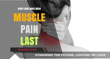 Understanding Neck Muscle Pain Duration: Causes, Relief, and Recovery Time