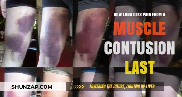 Muscle Contusion Pain Duration: What to Expect and How to Heal