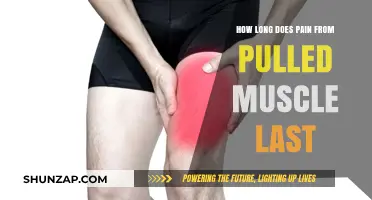 Pulled Muscle Pain Duration: What to Expect and How to Heal