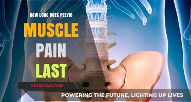 Understanding Pelvic Muscle Pain Duration: Causes, Relief, and Recovery Timeline