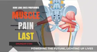 Understanding Piriformis Muscle Pain Duration: Causes, Relief, and Recovery Timeline