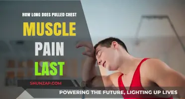 Pulled Chest Muscle Pain: Duration and Recovery Timeline Explained