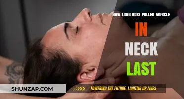 Pulled Neck Muscle Recovery Time: What to Expect and How to Heal