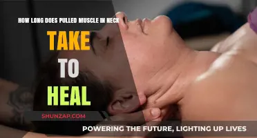 Pulled Neck Muscle Recovery Time: Healing Process and Tips