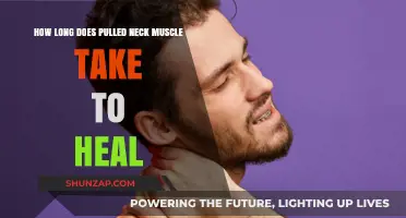 Pulled Neck Muscle Recovery Time: Healing Process and Timeline Explained