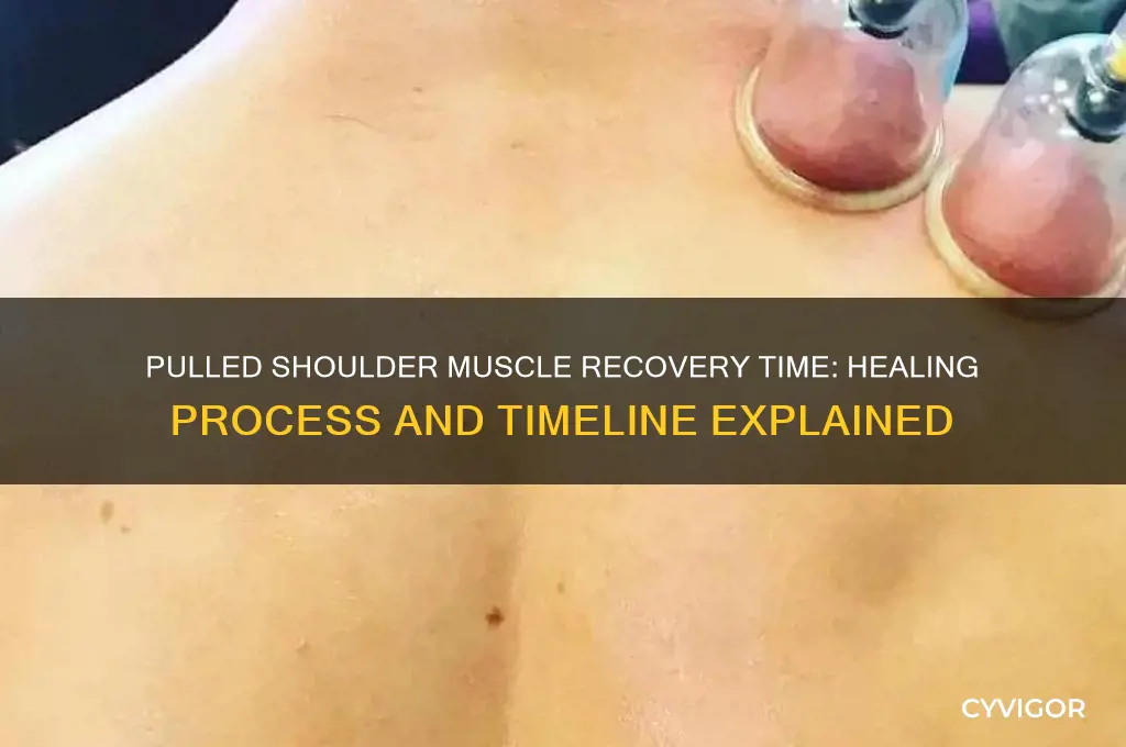 how long does pulled shoulder muscle take to heal